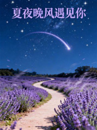 夏夜晚风遇见你