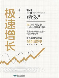 极速增长:企业扩张策略