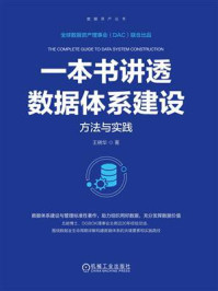 一本书讲透数据体系建设：方法与实践