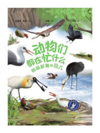 动物们都在忙什么:翩翩起舞的鸟儿