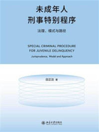 未成年人刑事特别程序：法理、模式与路径