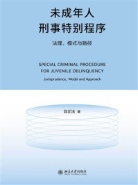 未成年人刑事特别程序：法理、模式与路径