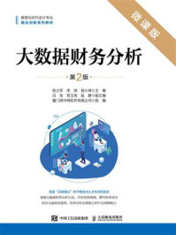 大数据财务分析:微课版(第2版)