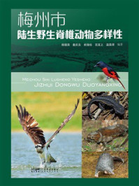 梅州市陆生野生脊椎动物多样性