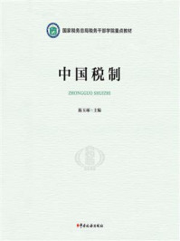中国税制
