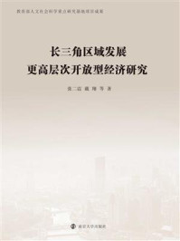 长三角区域发展更高层次开放型经济研究