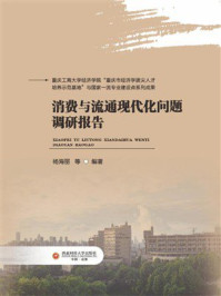 消费与流通现代化问题调研报告