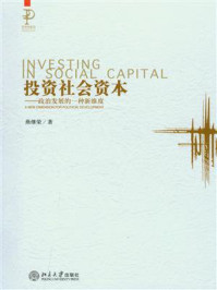 投资社会资本：政治发展的一种新维度