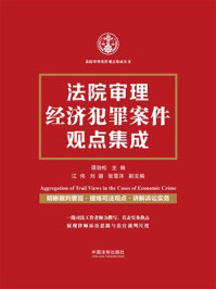 法院审理经济犯罪案件观点集成