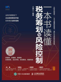 一本书读懂税务筹划与风险控制