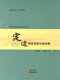 定边：脱贫攻坚引领发展