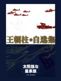 太阳旗与星条旗