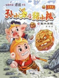 石从天降（孙小圣和猪小能）
