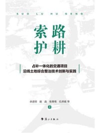 索路护耕:占补一体化的交通项目沿线土地综合整治技术创新与实践