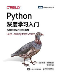 Python深度学习入门：从零构建CNN和RNN