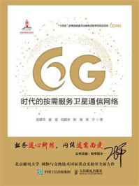6G时代的按需服务卫星通信网络