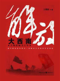 解放大西南