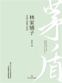 林家铺子:茅盾中短篇小说选