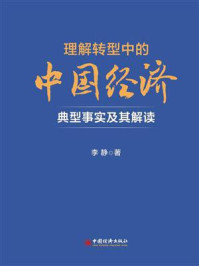 理解转型中的中国经济：典型事实及其解读