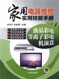 家用电器维修实用技能手册：液晶彩电、等离子彩电、机顶盒
