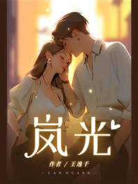 岚光