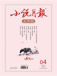 小说月报大字版2025年4月刊