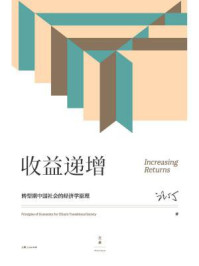 收益递增:转型期中国社会的经济学原理