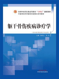 躯干骨伤疾病诊疗学