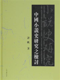 中国小说史研究之检讨