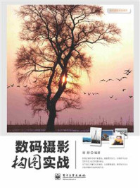 数码摄影构图实战(全彩)