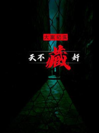 大案纪实之天不藏奸