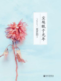 尘埃眠于光年