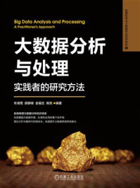 大数据分析与处理:实践者的研究方法