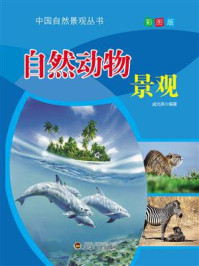自然动物景观