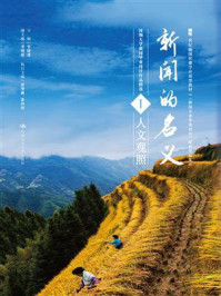 新闻的名义Ⅰ（21世纪新闻传播学应用型教材《新闻专业毕业设计》配套作品集）