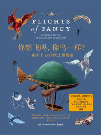 你想飞吗,像鸟一样?