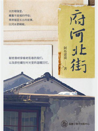 府河北街