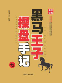 黑马王子操盘手记（七）