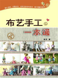 布艺手工一本通