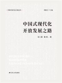 中国式现代化开放发展之路