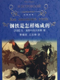 钢铁是怎样炼成的(经典译林)