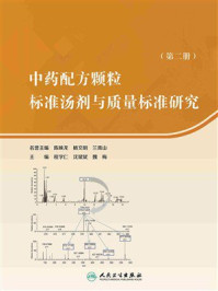 中药配方颗粒标准汤剂与质量标准研究（第二册）