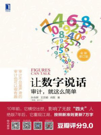 让数字说话:审计,就这么简单