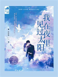 我在夜里见过太阳