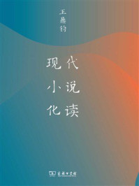 现代小说化读