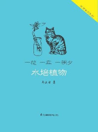 一花一草一朝夕:水培植物