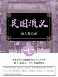 蔡东藩经典历史小说：民国演义（7）