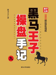 黑马王子操盘手记（九）