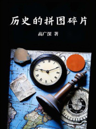历史的拼图碎片