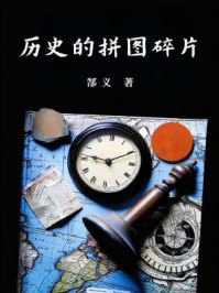 历史的拼图碎片
